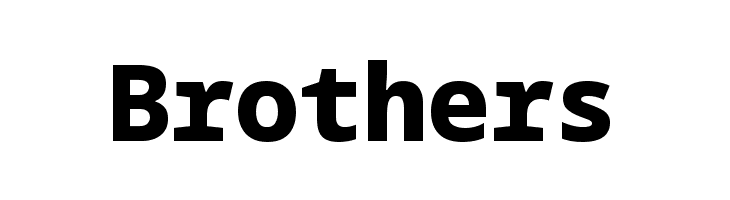 Noto Sans Mono Black  Free Fonts Download