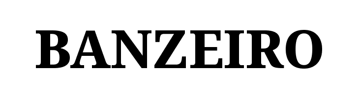 Noto Serif ExtraBold  Free Fonts Download