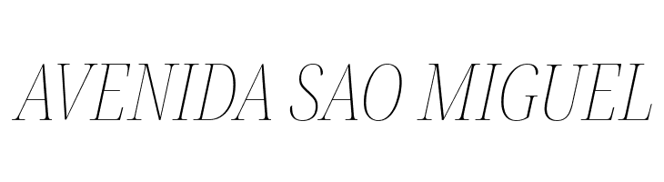 Noto Serif Display ExtraCondensed Thin Italic  Free Fonts Download