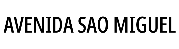 Noto Sans Display ExtraCondensed Medium  Free Fonts Download