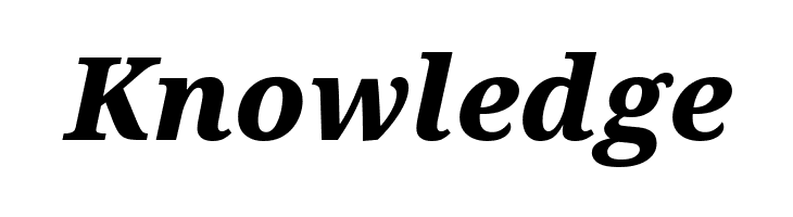 Noto Serif ExtraBold Italic  Free Fonts Download