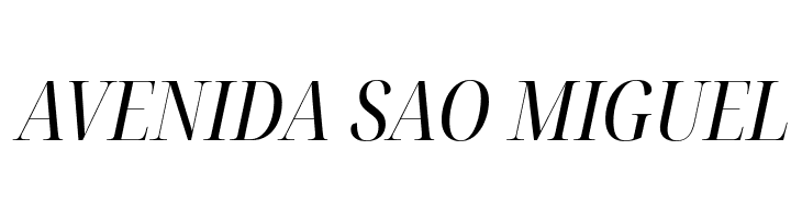 Noto Serif Display Condensed Italic  Free Fonts Download