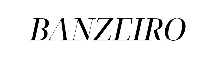 Noto Serif Display Italic  Free Fonts Download