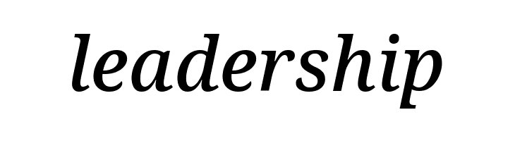 Noto Serif Medium Italic  Free Fonts Download