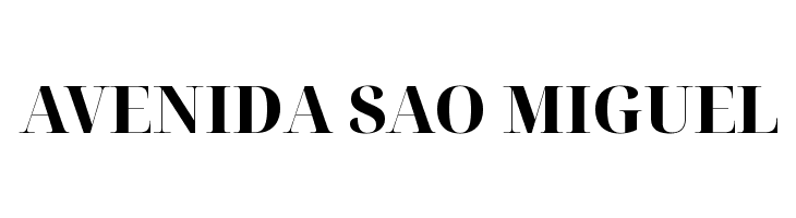 Noto Serif Display ExtraBold  Free Fonts Download