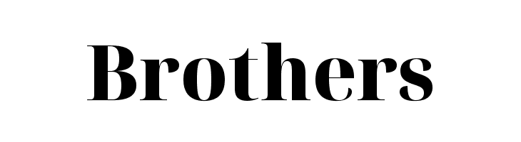 Noto Serif Display ExtraBold  Free Fonts Download