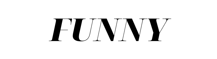 Noto Serif Display Black Italic  Free Fonts Download