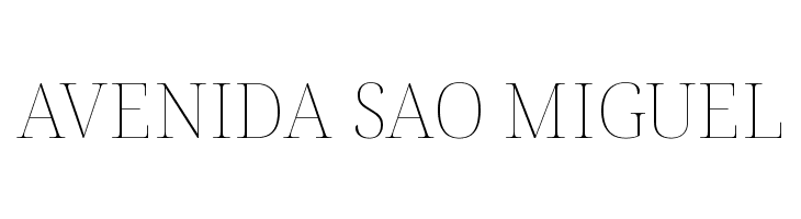 Noto Serif Display Thin  Free Fonts Download