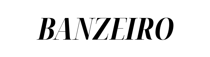 Noto Serif Display ExtraCondensed Bold Italic  Free Fonts Download