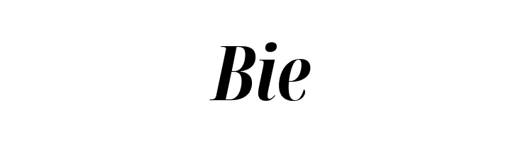 Noto Serif Display ExtraCondensed Bold Italic  Free Fonts Download