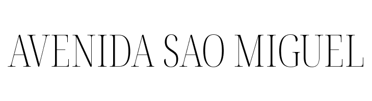 Noto Serif Display ExtraCondensed ExtraLight  Free Fonts Download