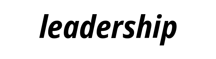 Noto Sans Display SemiCondensed Bold Italic  Free Fonts Download