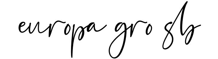 Estefin  Free Fonts Download