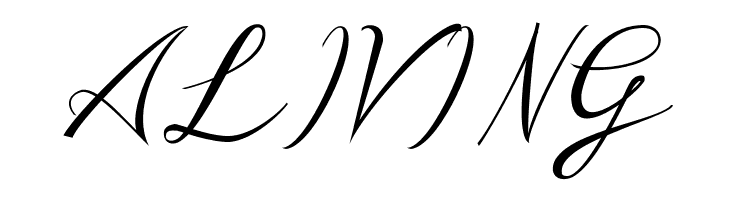 UNIVERSAL SCRIPT Personal Use Regular  Free Fonts Download