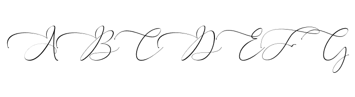 Everything Calligraphy  Free Fonts Download