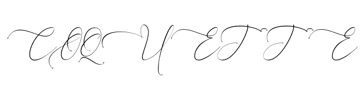 Everything Calligraphy  Free Fonts Download