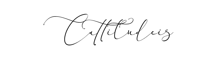 Everything Calligraphy  Free Fonts Download