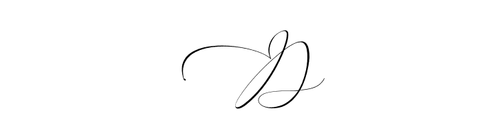 Everything Calligraphy  Free Fonts Download