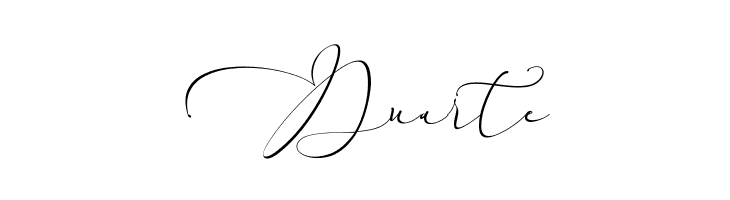 Everything Calligraphy  Free Fonts Download