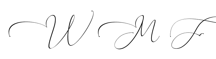 Everything Calligraphy  Free Fonts Download