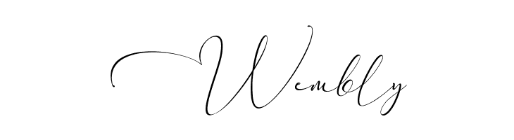 Everything Calligraphy  Free Fonts Download