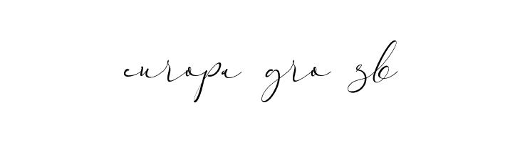Everything Calligraphy  Free Fonts Download