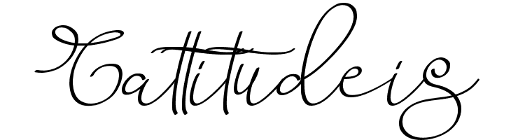 Barista Script  Free Fonts Download