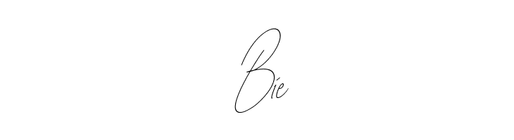 Diamante Signature_Italic  Free Fonts Download