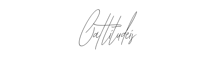 Diamante Signature_Italic  Free Fonts Download