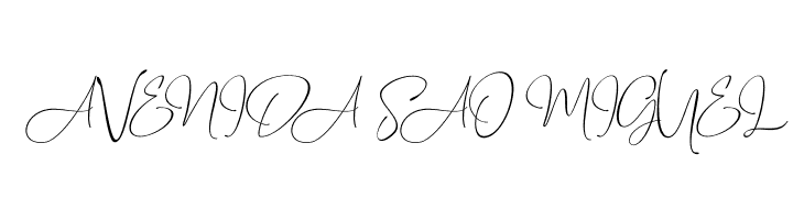 Travel Soulmates Signature  Free Fonts Download