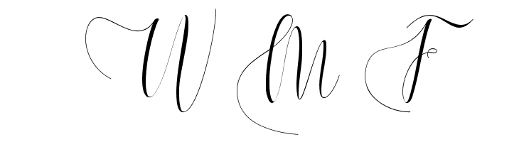 Melamar  Free Fonts Download