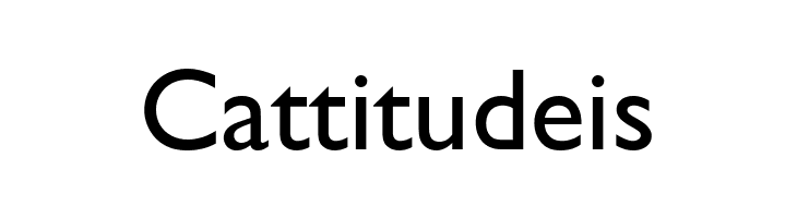 CheGuevara Text Sans  Free Fonts Download