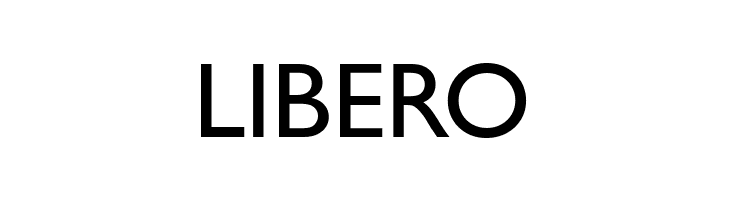 CheGuevara Text Sans  Free Fonts Download