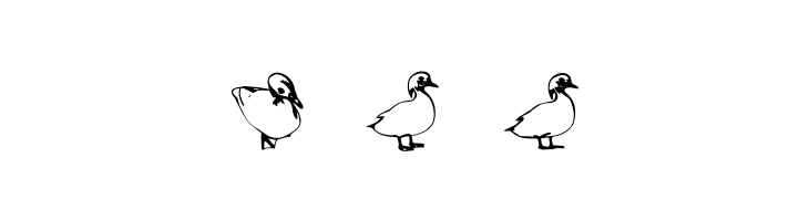 Duck Regular  Free Fonts Download