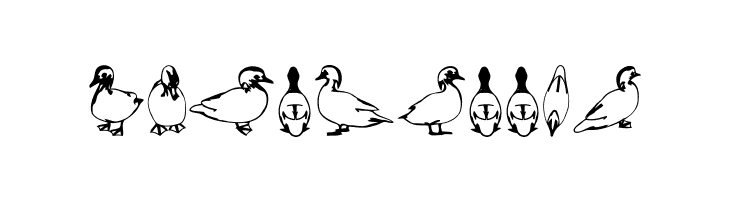 Duck Regular  Free Fonts Download