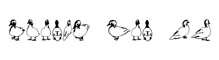 Duck Regular  Free Fonts Download