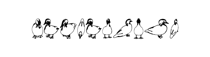 Duck Regular  Free Fonts Download