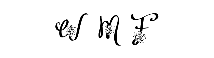 Alyfe Demo  Free Fonts Download