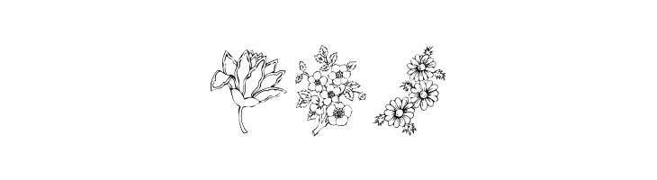 KR Floral Color Me 2  Free Fonts Download