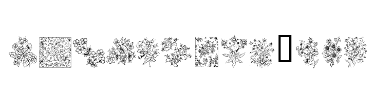 KR Floral Color Me  Free Fonts Download