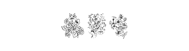 KR Floral Color Me  Free Fonts Download
