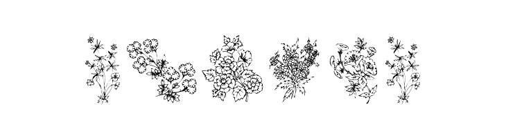 KR Floral Color Me  Free Fonts Download