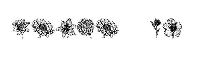 Blumen Regular  Free Fonts Download