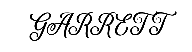 DelighterScript  Free Fonts Download