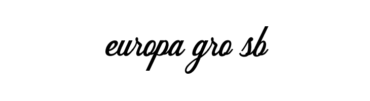 DelighterScript  Free Fonts Download