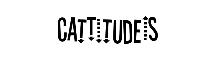 Stereofidelic-Regular  Free Fonts Download