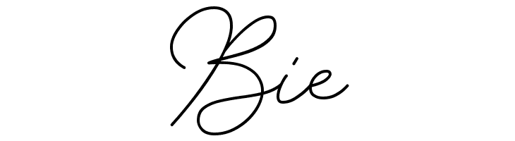 Insta Story Signature  Free Fonts Download