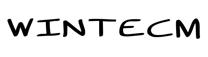 Wide Boy - Regular  Free Fonts Download