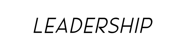 Pages Grotesque Light Demo Italic  Free Fonts Download