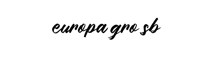 Brushpen Story Regular  Free Fonts Download